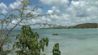 Martinique  Les plages des Salines [upl. by Atikam]