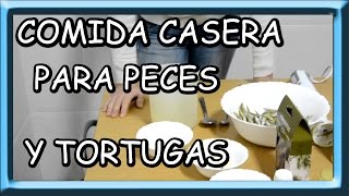 como hacer comida casera para peces y tortugas [upl. by Latsyrd]