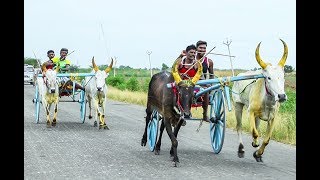 10219 KShanmugapuram Naddu mattu vandi race  reckla race  Jawahar studio [upl. by Kameko6]