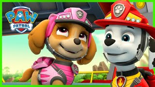 Marshall and Skye Rescue Knights Episodes and More 🏰 PAW Patrol  Cartoons for Kids [upl. by Adnauqal]