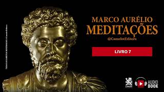 Meditações  Marco Aurélio Livro 7 Audiobook [upl. by Enenej]