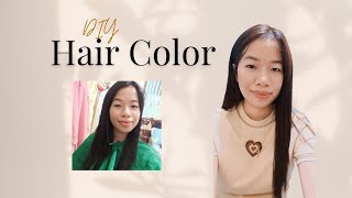 DIY HAIR COLOR Bremod Dark Golden Brown [upl. by Albin]