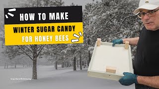 What To Feed Honey Bees In Winter [upl. by Yart355]