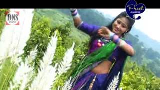 Sadri Song  Sadi Tor Sadi  Jyoti Sahu  Shiva Music Jhollywood [upl. by Nayrb]