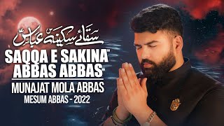 SAQQA E SAKINA ABBAS ABBAS  Mesum Abbas Nohay 2022  Muharram  Munajat Mola Abbas  Isteghasa [upl. by Alejna]