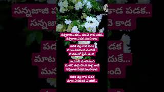 Sannajaji padaga song telugusongs plzsubscribe telugulyrics viralshorttrandingsong fromkuwait [upl. by Mayhs]