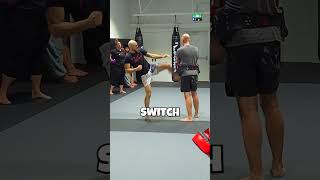 Jab Switch Kick Cross Hook shorts [upl. by Iramo]