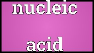 Nucleic acid Meaning [upl. by Eniamrahs]