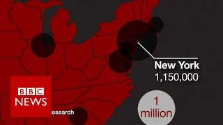 Where do Americas undocumented immigrants live BBC News [upl. by Conrado]