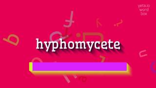 HYPHOMYCETE  HOW TO PRONOUNCE IT hyphomycete [upl. by Llovera24]