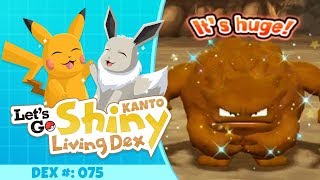 SHINY GRAVELER ILL TAKE IT  Pokemon Lets GO Pikachu and Eevee Kanto Shiny Living Dex 75 [upl. by Akym]