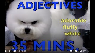 ADJECTIVE Words for KIDS  Learn ENGLISH GRAMMAR Grades K3 35 MIN Compilation HOMESCHOOL [upl. by Reeves]