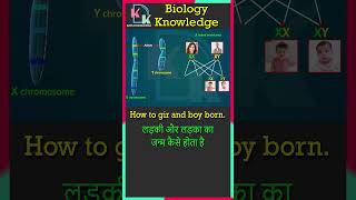 Human Chromosome  X Linked Inheritance  Alleles  XY Chromosome  How To Boy And Girl Born [upl. by Annahvas]