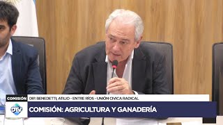 COMISIÓN COMPLETA AGRICULTURA Y GANADERÍA  10 de septiembre de 2024  Diputados Argentina [upl. by Suirtemed]