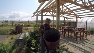 ABC acres Fertility for Free Homemade Comfrey Tea  episode 043 [upl. by Paz]