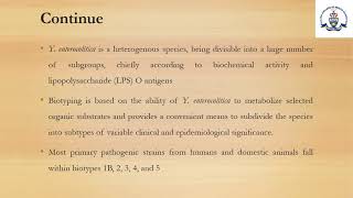 Human Nutrition and ditetics Lecture  27 Food microbiology Yersinia enterocolitica [upl. by Dixil]