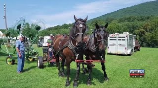 Botetourt County Fair Underway [upl. by Eikcid610]