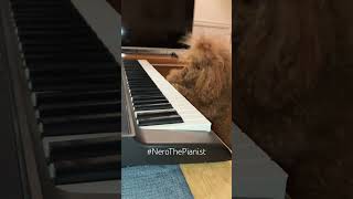 Nero The Pianist  random song 2 [upl. by Zaremski730]