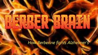 BerberBRAIN How Berberine fights Alzheimers [upl. by Aikar702]