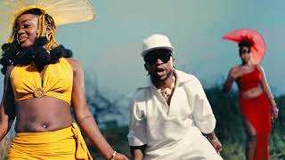 Toolz Sound  Bamise Official Video ft Ayọmidé Africa De Mailer [upl. by Annoerb]