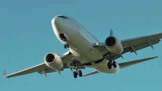 WestJet Boeing 737700 Landing at YLW [upl. by Yelsgnik]