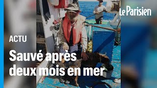 Le naufragé australien et son chien sont arrivés au Mexique après deux mois à la dérive [upl. by Hessney]