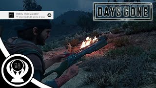 Days Gone  Variedade dá gosto à vida  Guia de Troféu [upl. by Agneta]