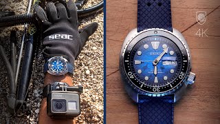 Probably the best Seiko diver under 450 Turtle Manta Ray srpe39k1 [upl. by Magnien369]