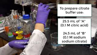 Episode 6 Making Stains to Observe Plant Cells [upl. by Daven]