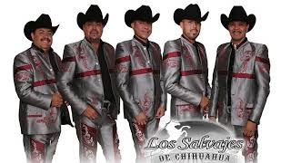 Los Salvajes De Chihuahua Atlantico Cumbia [upl. by Nodnar888]