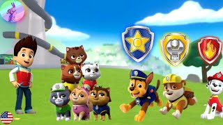 Paw Patrol Mighty Pups  Chase Rescue Compilation Funny Cartoon Animation HD [upl. by Yahs]