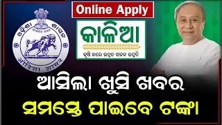 Kalia Yojana Online Apply Odisha 2023  Kalia Yojana Landless Online Grievance Application Form [upl. by Ferrell]