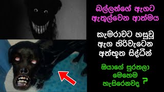 කැමරාවට හසුවූ හොල්මන් Part 20 Paranormal Activity kazzai holmanscience  Education [upl. by Dominy]