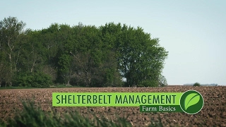 Farm Basics 999 Shelterbelts Air Date 52817 [upl. by De]