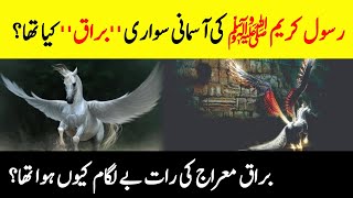 What Was Buraq  What Is Story Of Buraq  Isra Aur Meraj Ka Waqia  INFO at ADIL [upl. by Akeme]