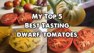 Tomatoes My Top 5 Best Tasting Dwarf Varieties [upl. by Vijnas]