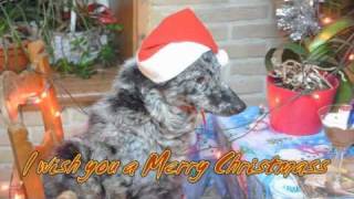 kerstwensen 2010mp4 [upl. by Htnamas]