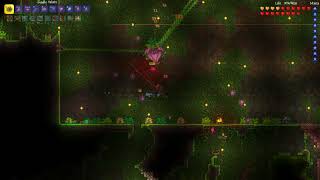 Terraria YoYo Run Plantera Godly Yelets [upl. by Zelda]