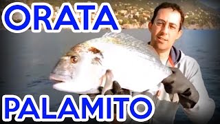 COME PESCARE le ORATE con il PALAMITO video di pesca in mare da barca completo con Matthieu Amato [upl. by Hoyt]