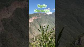 Topia Durango [upl. by Agrippina31]