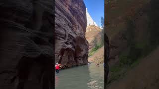 Wading the Narrows at Zion National Park [upl. by Nylyram]