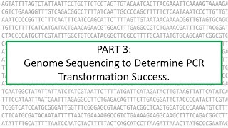 PART3 Identifying a gene knockout within genome sequencing data [upl. by Cosenza205]