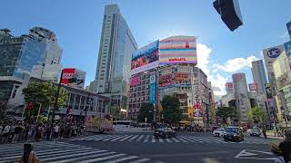 shibuya crossing [upl. by Ardnasela]