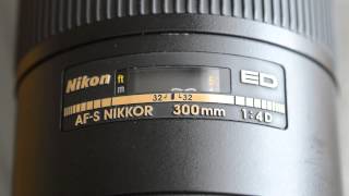 Nikon AFS 300mm f4 D ED Focus Speed on D800E [upl. by Rosalinde]