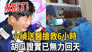 扛不住了！緊急入院搶救6小時病況曝，遺囑曝光交到後事等死！胡瓜崩潰趕往現場！娛樂有爆點胡瓜小禎 [upl. by Atikel355]