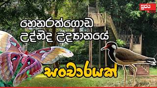 Botanical Garden Henarathgoda Gampaha  හෙනරත්ගොඩ උද්භිද උද්‍යානයේ සංචාරයක් [upl. by Scurlock]