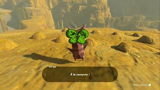 Zelda Tears of the kingdom 78  Grotte du plateau dEsmora [upl. by Mij]