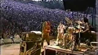 Rage Against The Machine  Bulls on parade  Live Tibetan Freedom Concert 1999 [upl. by Harmon]