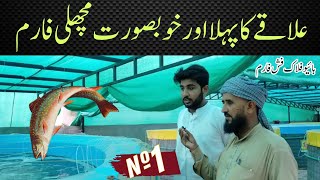 Biofloc fish farming in pakistan  Haider Biofloc Fish Farm Amra Gujrat  Fish Farming in Pakistan [upl. by Odlanar]