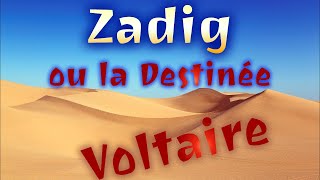 Zadig Voltaire  Chapitre 3  Le Chien et le Cheval [upl. by Enylodnewg159]